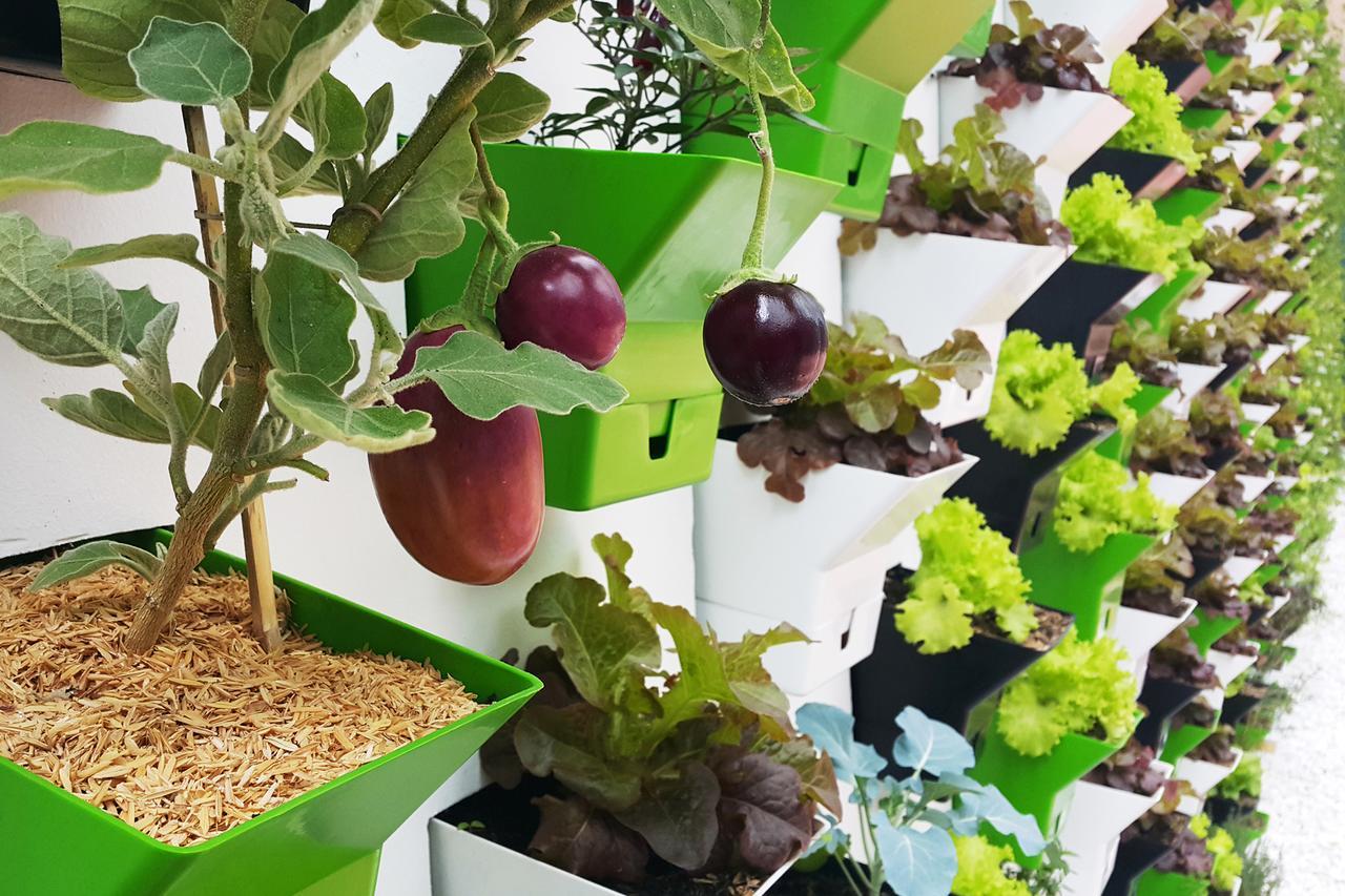 Biohotel Organic Suites Bogotá Zewnętrze zdjęcie